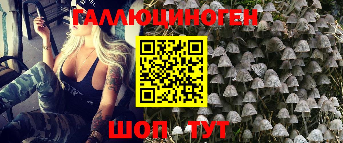 Галлюциногенные грибы мицелий  наркотики  Серов  Вход с VPN 
